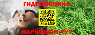 гидропоника Партизанск