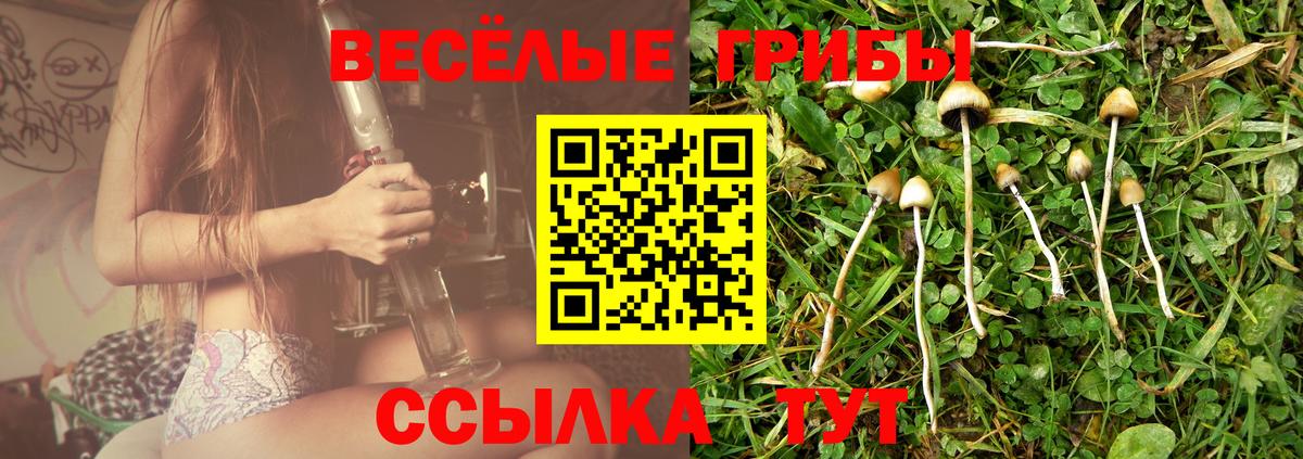 даркнет сайт  Псилоцибиновые грибы мухоморы  Вход с VPN  Сочи 